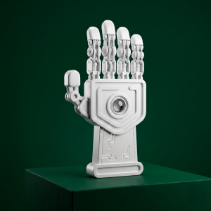 Material didáctico de Anatomía para Ingeniería Biomédica